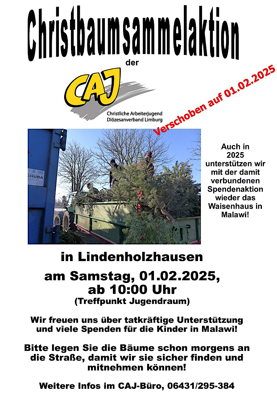 250201 caj christbaumsammelaktion