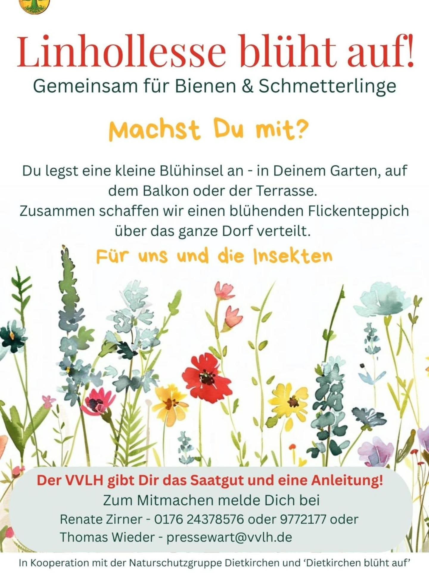 _linhollesse_blueht_auf